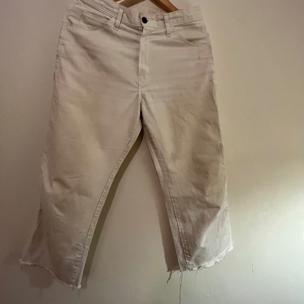 Dickies Painter Pants